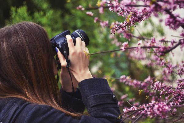 FOTO_FLORES_2